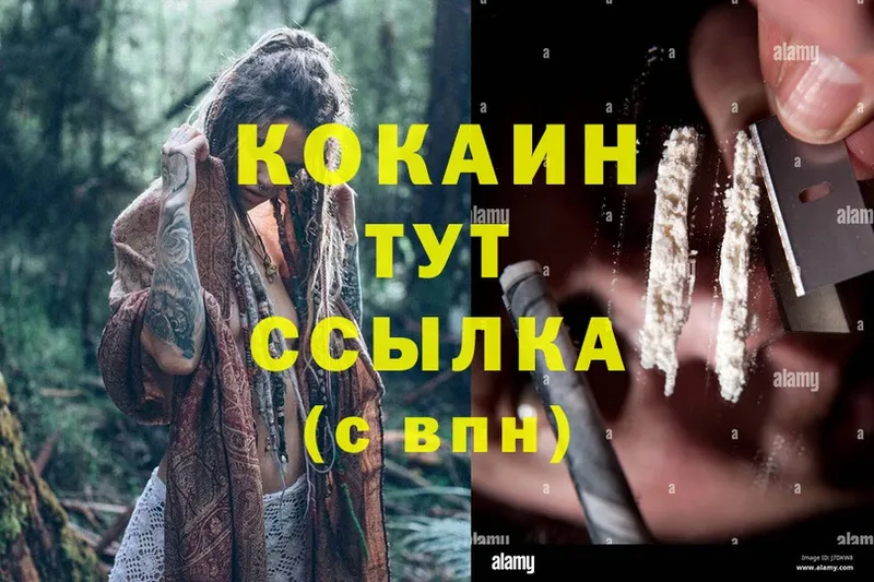 Cocaine Fish Scale  Великий Устюг 